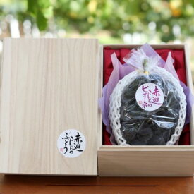 【ふるさと納税】桐箱入 ニュー ピオーネ 1房 750g以上 葡萄 ぶどう フルーツ 岡山 高梁市産 赤迫農園 2026年 先行予約 果物 デザート 愛情 最高 新鮮 桐箱入り 美味しい 　お届け：2026年9月中旬～2026年10月上旬