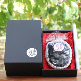 【ふるさと納税】黒 ニュー ピオーネ 1房 650g以上 葡萄 ぶどう フルーツ 岡山 高梁市産 赤迫農園 2026年 先行予約 果物 デザート 愛情 最高 新鮮 桐箱入り 美味しい 　お届け：2026年9月中旬～2026年10月上旬