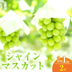 yӂ邳Ɣ[Łz2025N s\ VC}XJbg 2[ v1kg 퉷z Ԃǂ  t[c ʕ R R̂Ԃǂ R̉ʕ H fU[g Yn 嗱 炲 햳 @͂