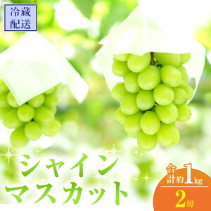 yӂ邳Ɣ[Łz2025N s\ VC}XJbg 2[ v1kg ①z Ԃǂ  t[c ʕ R R̂Ԃǂ R̉ʕ H fU[g Yn 嗱 炲 햳 @͂