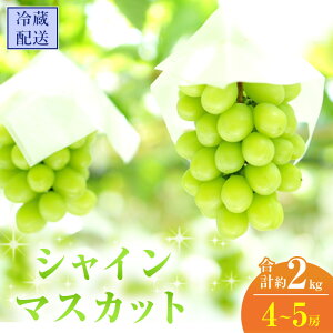yӂ邳Ɣ[Łz2025N s\ VC}XJbg 4`5[ v2kg ①z Ԃǂ  t[c ʕ R R̂Ԃǂ R̉ʕ H fU[g Yn 嗱 炲 햳 @