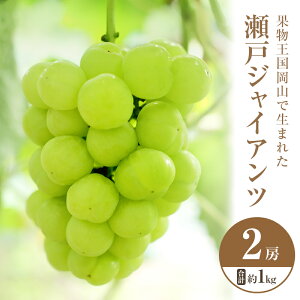 yӂ邳Ɣ[Łz2025N s\ ˃WCAc 2[ v1kg 퉷z Ԃǂ  t[c ʕ R R̂Ԃǂ H fU[g Yn 炲 _Ȃ u₩ Â @͂