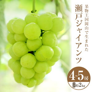 yӂ邳Ɣ[Łz2025N s\ ˃WCAc 4`5[ v2kg 퉷z Ԃǂ  t[c ʕ R R̂Ԃǂ H fU[g Yn 炲 _Ȃ u₩ Â @