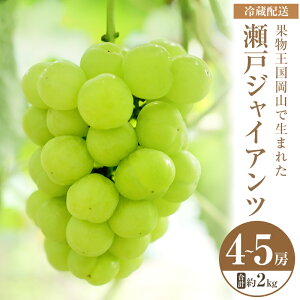 yӂ邳Ɣ[Łz2025N s\ ˃WCAc 4`5[ v2kg ①z Ԃǂ  t[c ʕ R R̂Ԃǂ H fU[g Yn 炲 _Ȃ u₩ Â @