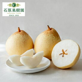【ふるさと納税】梨 2025年 先行予約 鴨梨（ヤーリー）5～10玉 合計約3kg 贈答箱【11月下旬～12月中旬頃発送】 ナシ なし 岡山県産 国産 フルーツ 果物 ギフト 石原果樹園 風味豊か 上品 希少な梨 　お届け：2025年11月15日～2025年12月20日