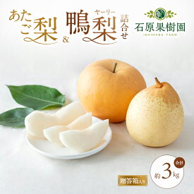 【ふるさと納税】梨 2026年 先行予約 あたご梨・鴨梨（ヤーリー）詰合せ 合計約3kg あたご1～3玉 鴨梨3～5玉 贈答箱【11月下旬～12月中旬頃発送】 ナシ なし 岡山県産 国産 フルーツ 果物 ギフト 石原果樹園 食べ比べ 　お届け：2026年11月15日～2026年12月20日