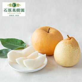 【ふるさと納税】梨 2025年 先行予約 あたご梨・鴨梨（ヤーリー）詰合せ 合計約4kg あたご2～3玉 鴨梨3～6玉 贈答箱【11月下旬～12月中旬頃発送】 ナシ なし 岡山県産 国産 フルーツ 果物 ギフト 石原果樹園 食べ比べ 　お届け：2025年11月15日～2025年12月20日