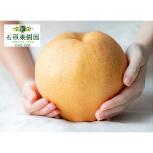 yӂ邳Ɣ[Łz 2025N s\ Ojij 1 (1`1.4kg) y11{`12{z iV Ȃ RY Y t[c ʕ Mtg Όʎ @ׂȖ W{