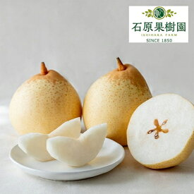 【ふるさと納税】梨 2025年 先行予約 備前乙女梨（鴨梨） 6～9玉 合計約4kg【11月下旬～12月中旬頃発送】 ナシ なし 岡山県産 国産 フルーツ 果物 ギフト 石原果樹園 風味豊か 上品 希少な梨 　お届け：2025年11月15日～2025年12月20日