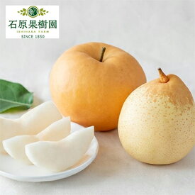 【ふるさと納税】梨 2025年 先行予約 備前横綱梨（あたご梨） 2玉（1玉1～1.4kg）・備前乙女梨（鴨梨） 4～6玉 詰合せ 合計約4.0kg【11月下旬～12月中旬頃発送】岡山県産 フルーツ ギフト 石原果樹園 　お届け：2025年11月15日～2025年12月20日