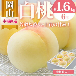 yӂ邳Ɣ[Łz 2026N s\ R  6ʁiv1.6kgȏjϔ   RY Y t[c ʕ Mtg @͂F2026N7{`2026N8{