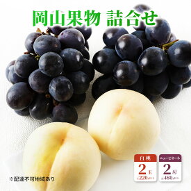 【ふるさと納税】桃 ぶどう 2024年 先行予約 果物 詰合せ 白桃 2玉（1玉220g以上）ニューピオーネ 2房（1房480g以上）化粧箱入り もも 葡萄 岡山県産 国産 フルーツ 果物 ギフト　【高梁市】　お届け：2024年7月下旬～2024年8月中旬