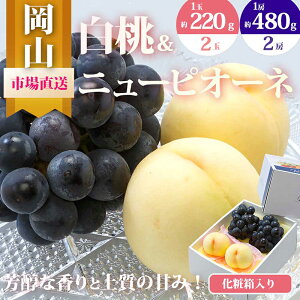 yӂ邳Ɣ[Łz Ԃǂ 2026N s\ ʕ l  2ʁi1220gȏjj[sI[l 2[i1[480gȏjϔ   RY Y t[c ʕ Mtg @͂F2026N7