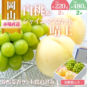 yӂ邳Ɣ[Łz Ԃǂ 2026N s\ ʕ l  2ʁi1220gȏjVC}XJbg  2[i1[480gȏjϔ   RY Y t[c ʕ Mtg @