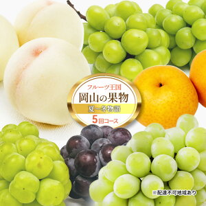 yӂ邳Ɣ[Łzt[c  2026N s\ t[c R̉ʕ 5R[X ā`~    Ԃǂ  ȂRY Y ʕ Zbg Mtg @͂F2026N7{`202