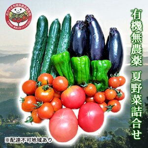 yӂ邳Ɣ[Łz2026N t Ė lߍ킹  L@_ _Y  Zbg @͂F2026N7{`2026N831