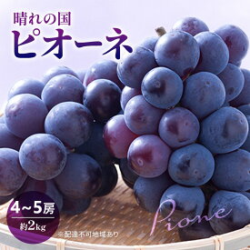 【ふるさと納税】2026年 早期受付 ぶどう 晴れの国 ピオーネ 2kg（4～5房）化粧箱入り 岡山県 高梁市 ブドウ 葡萄 果物 フルーツ 　お届け：2026年9月15日～2026年10月15日