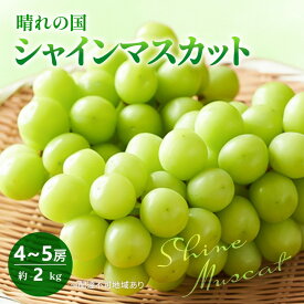 【ふるさと納税】2026年 早期受付 ぶどう 晴れの国 シャインマスカット 2kg (4～5房) 化粧箱入り 岡山県 高梁市 ブドウ 葡萄 果物 フルーツ 　お届け：2026年10月1日～2026年10月20日