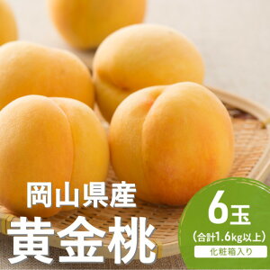 【ふるさと納税】桃 2026年 先行予約 黄金桃 6玉(1.6kg以上) 化粧箱入り もも モモ 岡山県産 国産 フルーツ 果物 セット ギフト お届け:2026年8月下旬〜2026年9月中旬