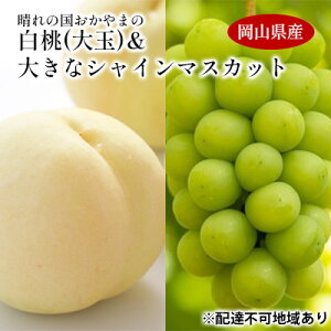 yӂ邳Ɣ[Łz Ԃǂ y2026N s\z ̍     1.5kgȏ(4`6) 傫 VC}XJbg 1[800gȏ }XJbg uhE  RY Y t[c ʕ
