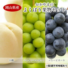 【ふるさと納税】桃 ぶどう 【2026年 先行予約】 よくばり 果物 セット 岡山 白桃 2玉 合計600g以上 シャインマスカット 2房 合計1.2kg以上 ニュー ピオーネ 2房 合計1kg以上 岡山県産 国産 フルーツ 果物 ギフト　お届け：2026年7月下旬～2026年8月下旬