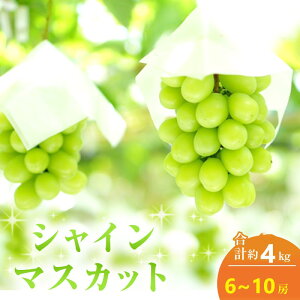 yӂ邳Ɣ[Łzy2025N s\z VC}XJbg 6`10[ v4kg 퉷z Ԃǂ  t[c ʕ R s@͂F2025N9{`2025N10{