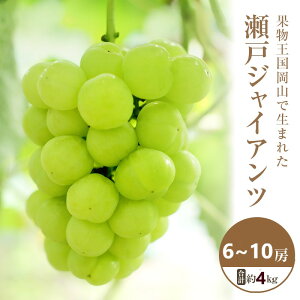 yӂ邳Ɣ[Łzy2025N s\z ˃WCAc 6`10[ v4kg 퉷z Ԃǂ  t[c ʕ R s@͂F2025N10{`2025N11{