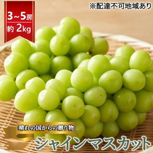 yӂ邳Ɣ[Łzt Ԃǂ ̍ VC}XJbg 2kgi3`5[jϔ R s uhE  ʕ t[c@͂F2025N10{`2025N11{