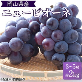 【ふるさと納税】2026年 早期受付 ぶどう 晴れの国 ピオーネ 2kg（3～5房）化粧箱入り 岡山県 高梁市 ブドウ 葡萄 果物 フルーツ　お届け：2026年9月下旬～2026年10月中旬