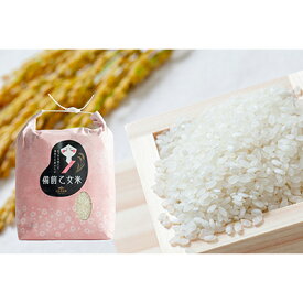 【ふるさと納税】米 令和7年産 石原果樹園の備前乙女米 白米 5kg×1袋 ※11月上旬～順次発送予定 お米 精米 白米 ライス 乳酸菌栽培 岡山県 おにぎり お弁当　お届け：11月上旬～順次発送予定