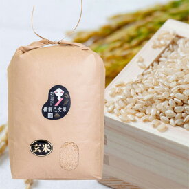 【ふるさと納税】米 令和7年産 石原果樹園の備前乙女米 玄米 10kg×1袋 ※11月上旬～順次発送予定 ライス お米 ライス 乳酸菌栽培 岡山県 おにぎり お弁当　お届け：11月上旬～順次発送予定