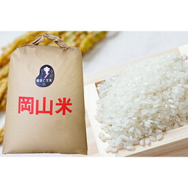 【ふるさと納税】米 令和7年産 石原果樹園の備前乙女米 白米 30kg×1袋 ※11月上旬～順次発送予定 お米 精米 白米 ライス 乳酸菌栽培 岡山県 おにぎり お弁当　お届け：11月上旬～順次発送予定