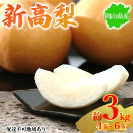 【ふるさと納税】梨 2026年先行予約 岡山県産 新高梨 約3kg 4～6玉 お届け 10月中旬～11月中旬　お届け：2026年10月中旬～2026年11月中旬
