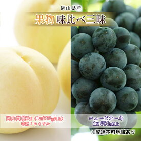 【ふるさと納税】桃 ぶどう 2026年 先行予約 果物 味比べ三昧 岡山 白桃 2玉 等級：ロイヤル（1玉260g以上）ニュー ピオーネ 1房 580g以上 詰合せ もも 葡萄 岡山県産 国産 フルーツ 果物 ギフト 食べ比べ　お届け：2026年7月上旬～2026年8月中旬