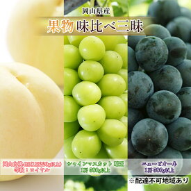 【ふるさと納税】桃 ぶどう 2026年 先行予約 果物 味比べ三昧 岡山白桃 4玉 シャインマスカット 晴王 1房 ニュー ピオーネ 1房 詰合せ 岡山の桃 岡山の葡萄　お届け：2026年7月上旬～2026年8月中旬