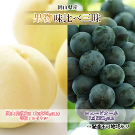 【ふるさと納税】桃 ぶどう 2026年 先行予約 果物 味比べ三昧 岡山 白桃 2玉 等級：ロイヤル（1玉220g以上）ニュー ピオーネ 1房 380g以上 詰合せ もも 葡萄 岡山県産 国産 フルーツ 果物 ギフト 岡山の桃 岡山の葡萄 食べ比べ　お届け：2026年7月上旬～2026年8月中旬