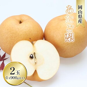 yӂ邳Ɣ[Łz 2025N s\  2ʓi1 900gȏj Ȃ iV RY Y t[c ʕ Mtg a fU[g H {̑傫  VV@͂F2025N11