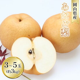 【ふるさと納税】梨 2026年 先行予約 あたご梨 約3kg 3～5玉入り なし ナシ 岡山県産 国産 フルーツ 果物 ギフト 和梨 デザート 食後 日本一の大きさ 大玉 シャリシャリ　お届け：2026年11月下旬～2026年12月中旬