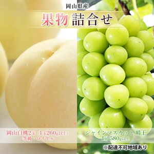 �y�ӂ邳�Ɣ[�Łz�Ԃǂ� 2026�N ��s�\�� �ʕ� �l���� ���R ���� 2�� �����F���C�����i1��260g�ȏ�j �V���C�� �}�X�J�b�g ���� 1�[ 580g�ȏ� ���� ���� ���R���Y ���Y �t���[�c �ʕ� �M�t�g�@��