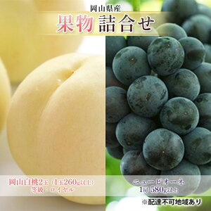 �y�ӂ邳�Ɣ[�Łz�Ԃǂ� 2026�N ��s�\�� �ʕ� �l���� ���R ���� 2�� �����F���C�����i1��260g�ȏ�j �j���[ �s�I�[�l 1�[ 580g�ȏ� ���� ���� ���R���Y ���Y �t���[�c �ʕ� �M�t�g�@���͂��F2026