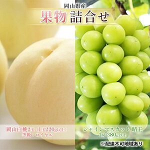 �y�ӂ邳�Ɣ[�Łz�Ԃǂ� 2026�N ��s�\�� �ʕ� �l���� ���R ���� 2�� �����F���C�����i1��220g�ȏ�j �V���C�� �}�X�J�b�g ���� 1�[ 380g�ȏ� ���� ���� ���R���Y ���Y �t���[�c �ʕ� �M�t�g�@��