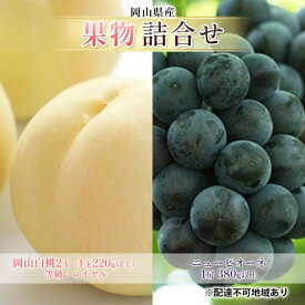 【ふるさと納税】ぶどう 2026年 先行予約 果物 詰合せ 岡山 白桃 2玉 等級：ロイヤル（1玉220g以上） ニュー ピオーネ 1房 380g以上 もも 葡萄 岡山県産 国産 フルーツ 果物 ギフト　お届け：2026年7月上旬～2026年8月中旬