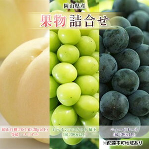 yӂ邳Ɣ[ŁzԂǂ 2026N s\ ʕ l R  2 FCi1220gȏj VC}XJbg  1[ 380gȏ j[sI[l 1[ 380gȏ   RY Y 