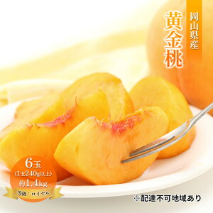 �y�ӂ邳�Ɣ[�Łz�� 2026�N ��s�\�� ���R ������ 6�� ��1.4kg �����F���C�����i1�� 240g�ȏ�j ���� ���� ���R���Y ���Y �t���[�c �ʕ� �M�t�g�@���͂��F2026�N8�����{�`2026�N9�����{