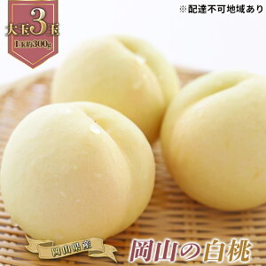 yӂ邳Ɣ[Łz 2026N s\ R  3ʁiӐji1ʖ300gj   RY Y t[c ʕ Mtg@͂F2026N7{`2026N8{