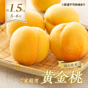 yӂ邳Ɣ[Łz 2026N s\ ƒp  5`6 v1.5kg   RY Y t[c ʕ Mtg@͂F2026N8{`2026N9{
