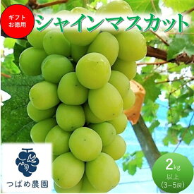 【ふるさと納税】2026年 早期受付 ぶどう ギフトお徳用 シャインマスカット 2kg以上(3～5房) 数量限定 岡山県 高梁市産　お届け：2026年9月下旬～2026年10月中旬