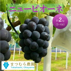【ふるさと納税】2026年 早期受付 ぶどう ピオーネ 約2kg（3～4房）岡山県高梁市産 まつむら農園 個装箱入り 葡萄 ブドウ 贈り物　お届け：2026年9月上旬～2026年9月下旬