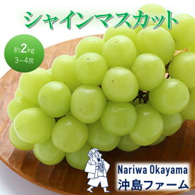 【ふるさと納税】2026年 早期受付 ぶどう シャインマスカット 約2kg（3～4房）岡山県高梁市産 沖島ファーム 化粧箱入り 葡萄 ブドウ 贈答用　お届け：2026年10月上旬～2026年10月下旬