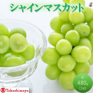 �y�ӂ邳�Ɣ[�Łz2026�N ������t�y�������I��i�z�V���C���}�X�J�b�g ��480g×1�[ ���R�������s�Y �������� ���� �u�h�E ���蕨�@���͂��F2026�N7��15���`2026�N8��15��